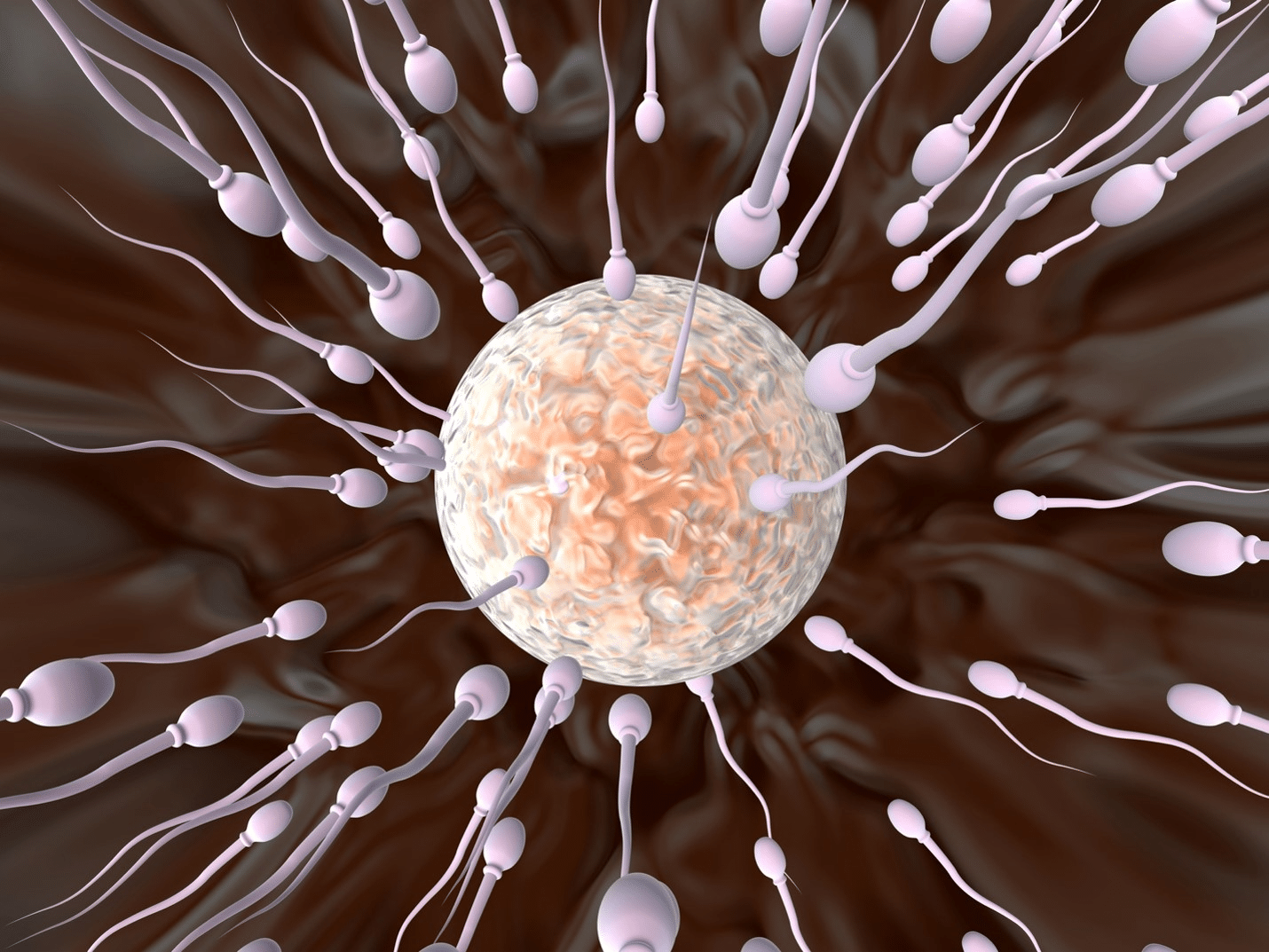Sperm Health and Male Fertility Support